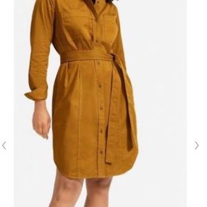 Everlane Modern Utility Shirt Dress
